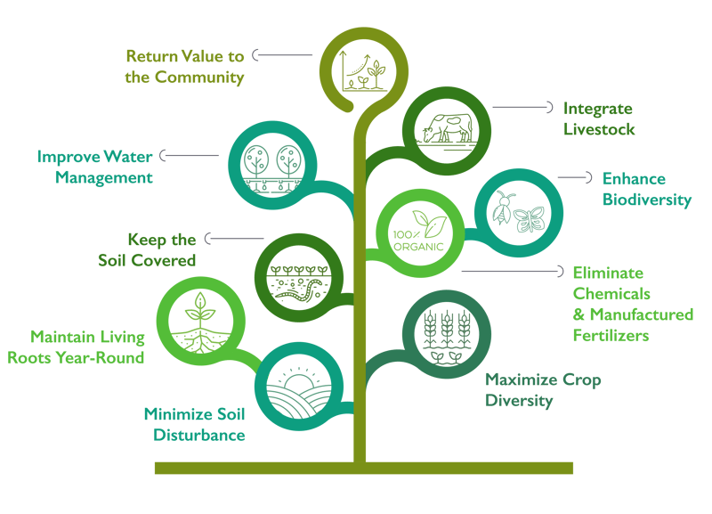 REGENERATIVE_PILARS-1 REGENERATIVE_PILARS-1